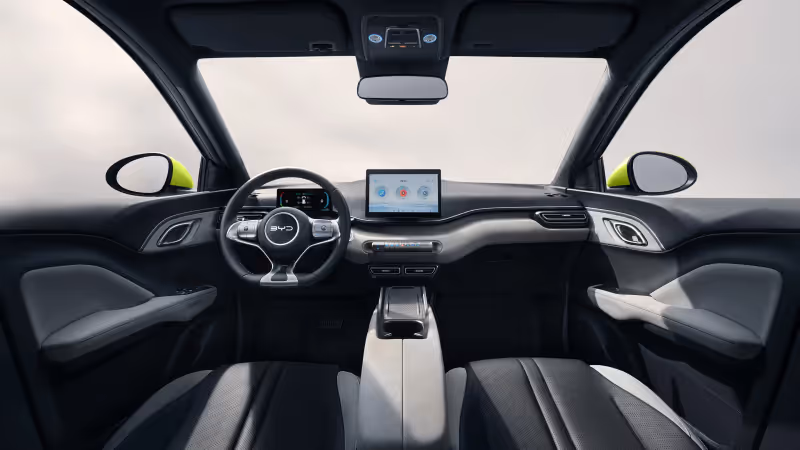 BYD Dolphin - detalle